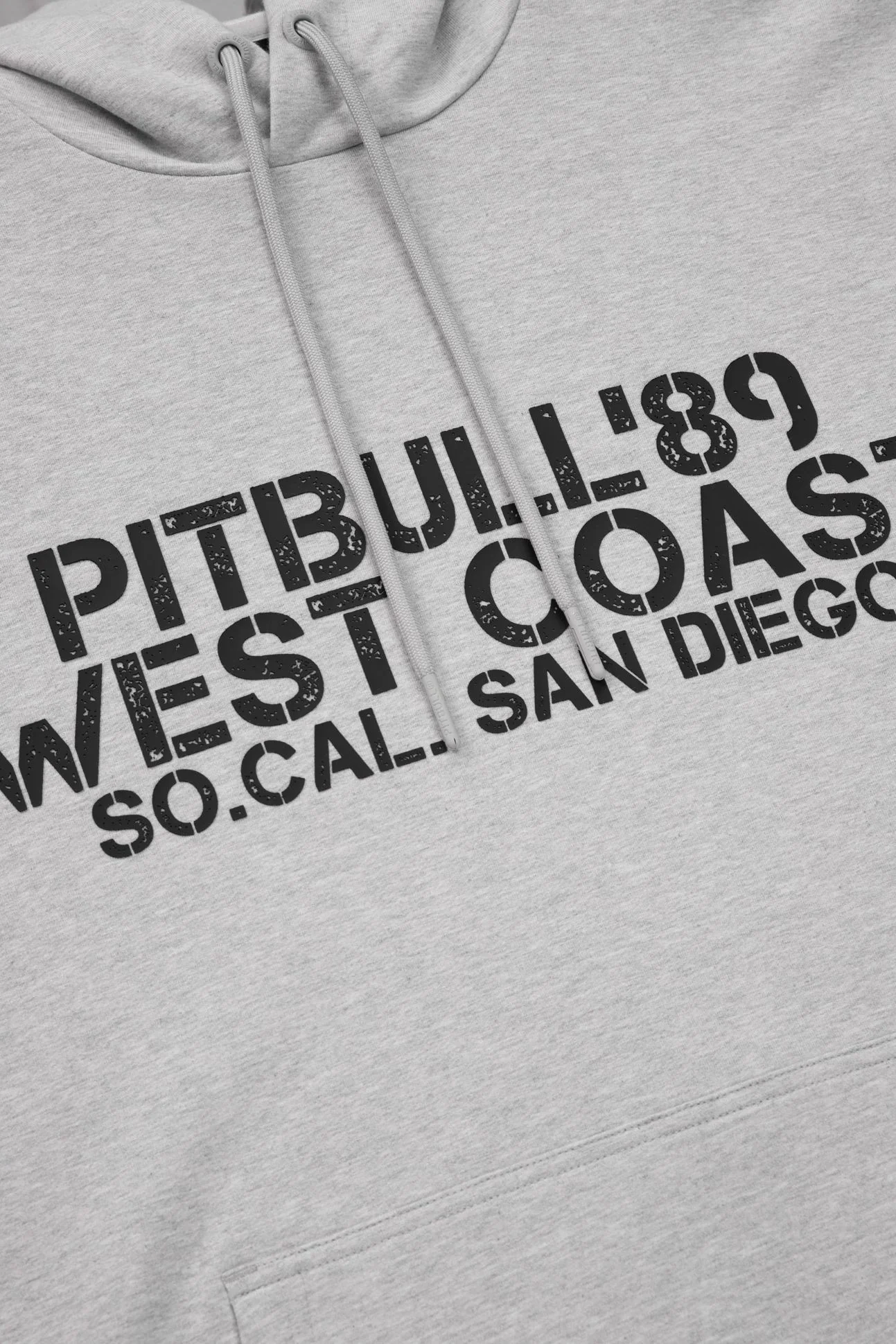 Pitbull - DRIVING - GRAY - Dukserica - 6