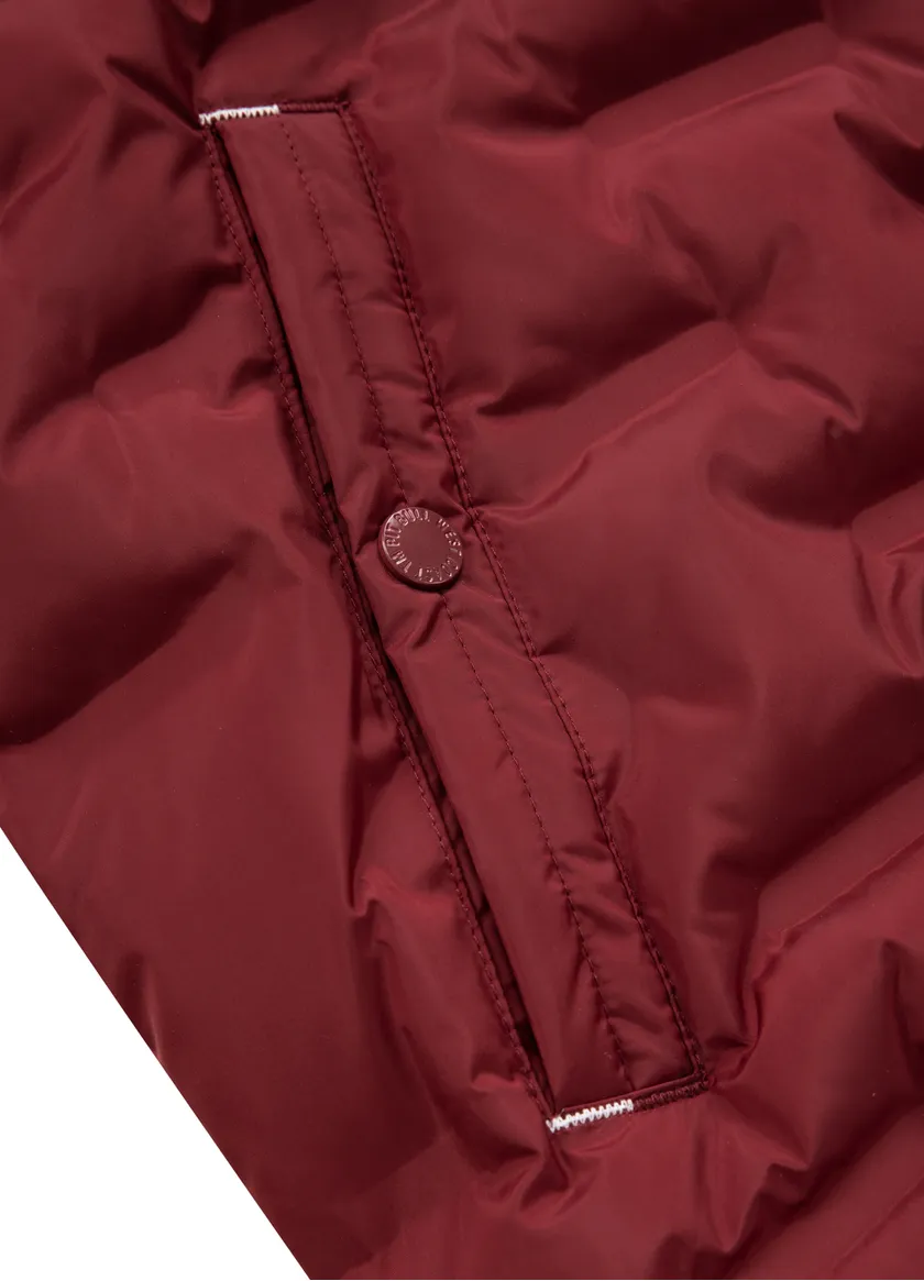 PITBULL - CARVER - BURGUNDY - Jakna - 8
